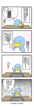 近況 2010-8-8